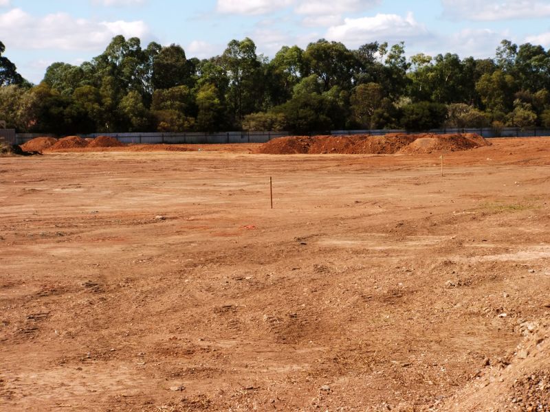 Finished Land Clearing Project