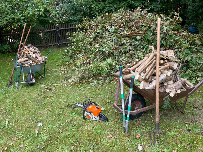 Vegetation Removal Process