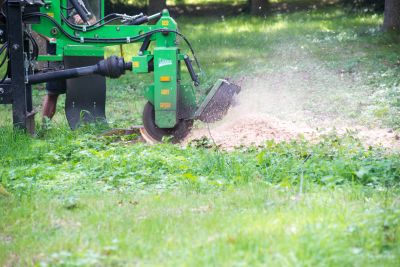 Stump Grinding Experts
