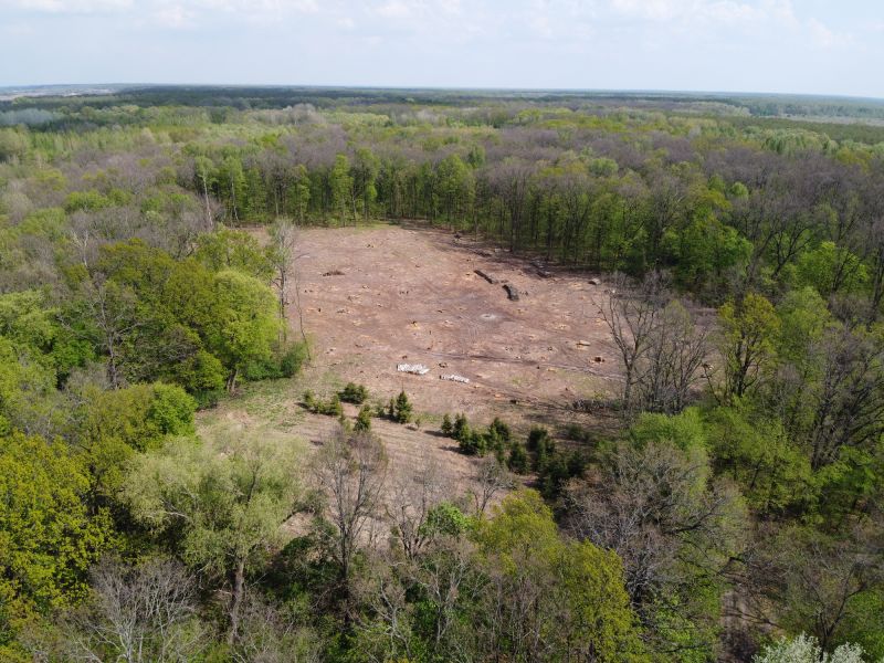 Land Clearing Permitting