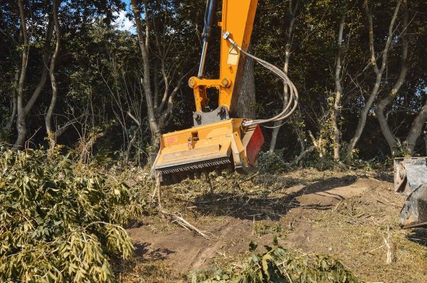 Brush Removal Service in Bowie