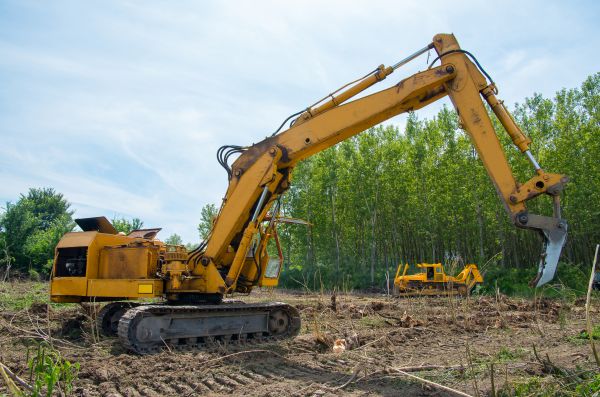 Farm Clearing in Bowie