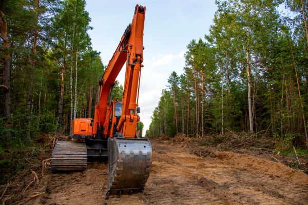 Backhoe Land Clearing in Bowie