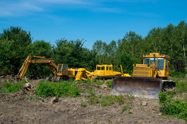 Bulldozer Clearing in Bowie