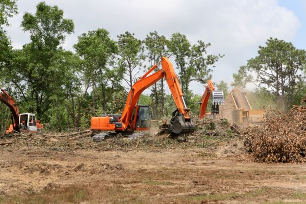Commercial Lot Clearing in Bowie