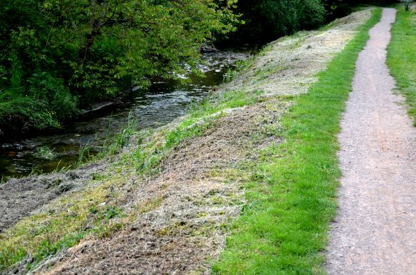 Trail Cutting in Bowie